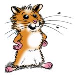 IDEENHAMSTER